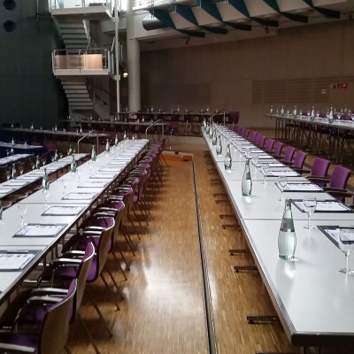 Großer Saal in parlamentarischer Bestuhlung und abgestuftem Saalboden